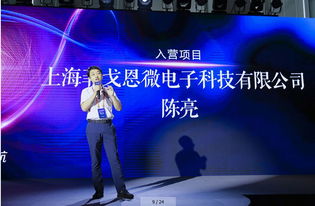 實力不容小覷的25家中國芯企業(yè) 硬核實力與計算機(jī)軟硬件技術(shù)開發(fā)深度剖析