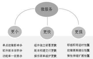 微服務(wù)與容器技術(shù) 推動網(wǎng)絡(luò)虛擬云化接入的創(chuàng)新引擎
